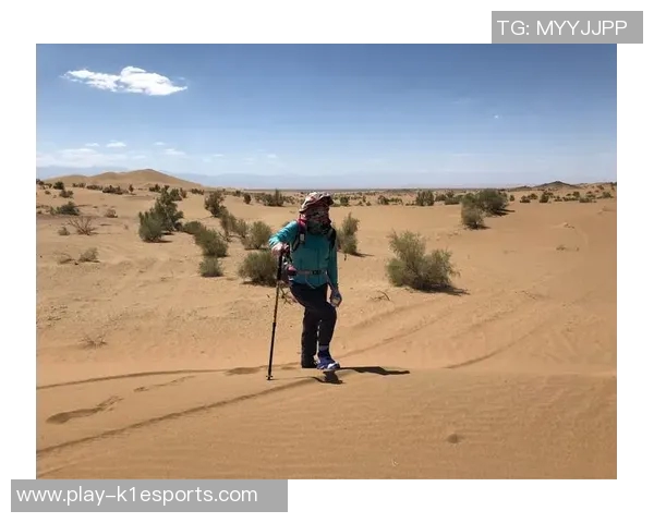 深度探讨吴娜在王者荣耀中的成长与挑战之路