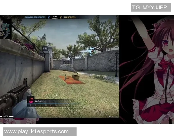 esports数据杨娜揭秘CSGO成功之道背后的故事与经验分享
